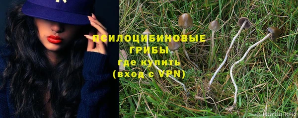 стаф Абинск