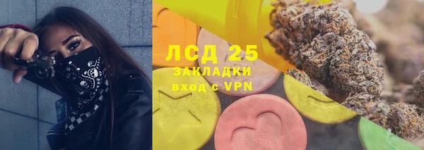 стаф Абинск
