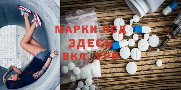 шишки Абаза