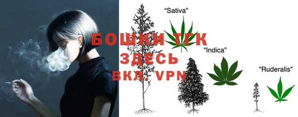 шишки Абаза
