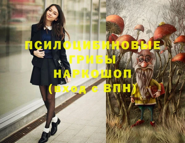 ешки Алексеевка