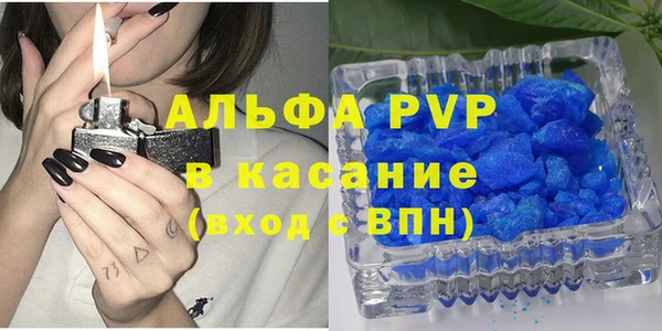 шишки Абаза