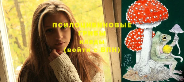 стаф Абинск