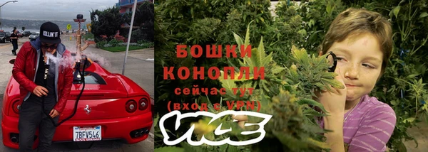 шишки Абаза