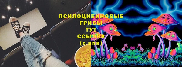 мдпв Абдулино