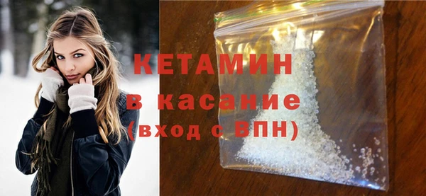шишки Абаза