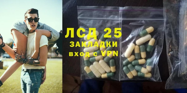 стаф Абинск
