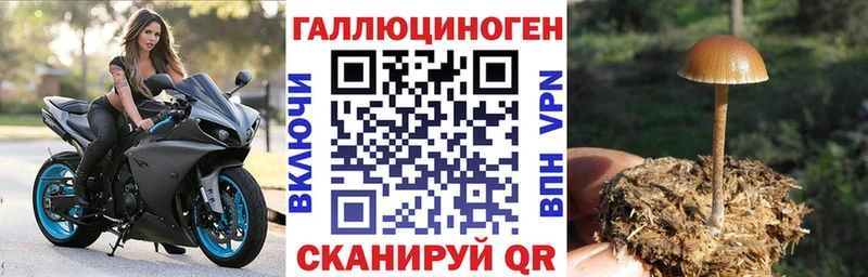 Псилоцибиновые грибы мухоморы  Донецк 